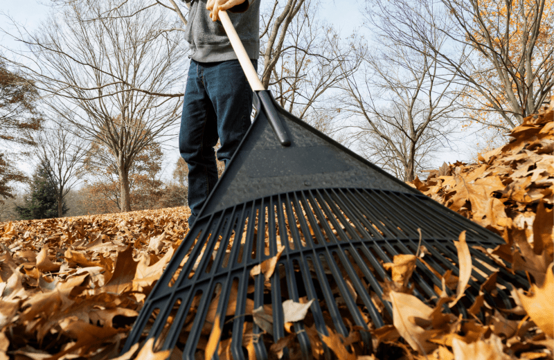 Dagbesteding betteld