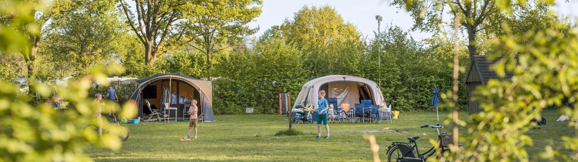 Headers website prosuco3