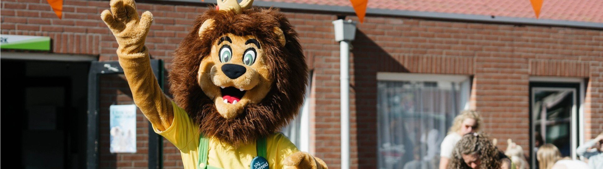 Headers website prosuco5