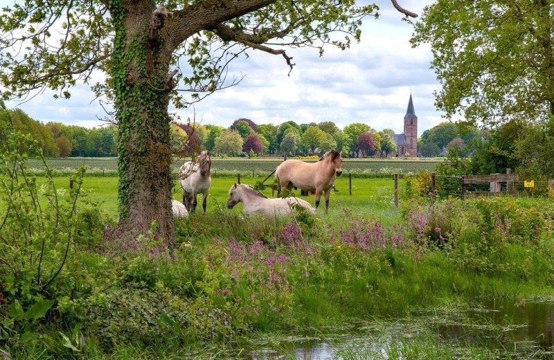 Fahrradroute Zelhem und Zieuwent
